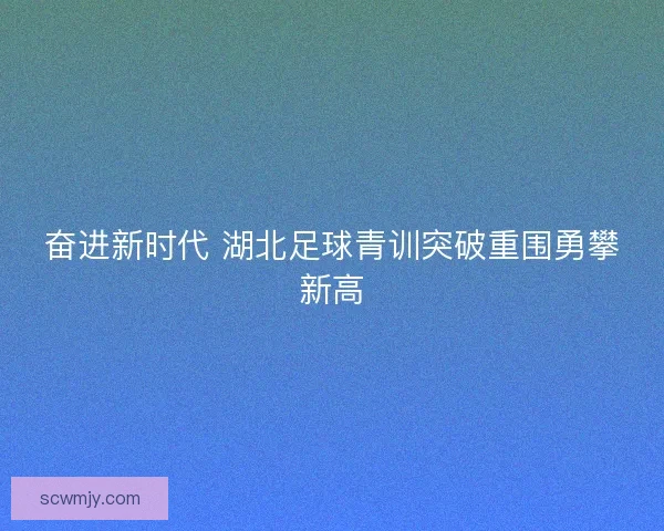 奋进新时代 湖北足球青训突破重围勇攀新高